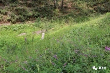 4D22350E-5828-47E7-A65E-6030FF7DE663 4D22350E-5828-47E7-A65E-6030FF7DE663